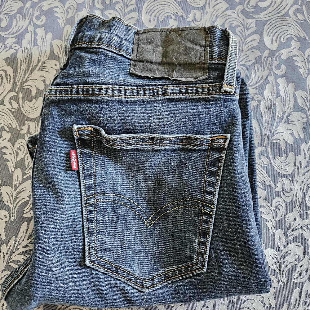 Levi's Dark Wash Denim Jeans (#0010)